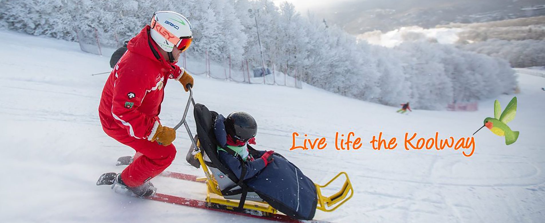 HomePage_skiing